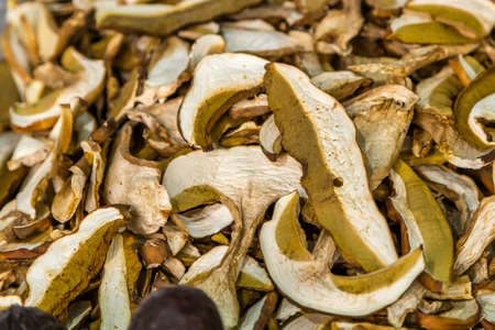 closeup of edible mushrooms in slices