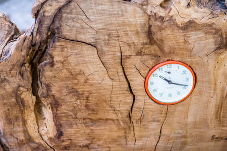 CESENA (FC) - FEBRUARY 17, 2019: lights are enlightening clock in trunk for sale on stalls at antique fairの写真素材