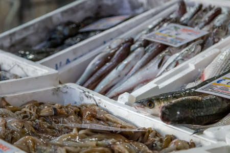 MODENA (MO), ITALY - FEBRUARY 15, 2019: light enlightening fish for sale in Albinelli covered market in the historical center of Modenaのeditorial素材