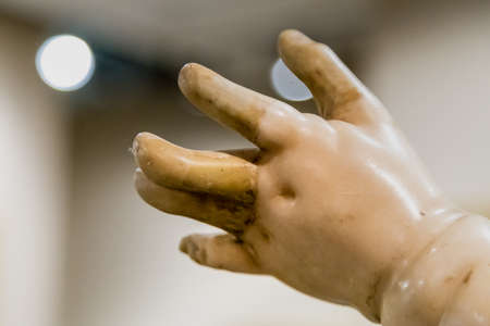 MODENA (MO), ITALY - FEBRUARY 15, 2019: sunlight is enlightening hand of statue in Modenantiquaria, important fair of the antique arts market in Europe.のeditorial素材