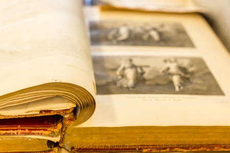 CESENA (FC) - FEBRUARY 16, 2020: lights are enlightening ancient and old books for sale at antiques fairのeditorial素材