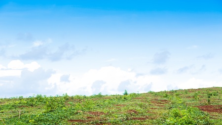 Typical Thailand landscapeの写真素材