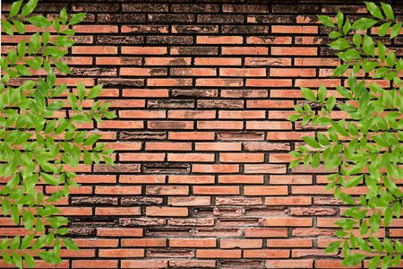Red brick and green leaves frameの写真素材