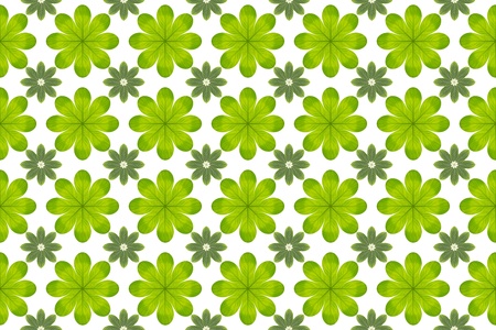 Green leaf flower pattern background