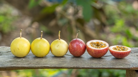 Passion fruitsの写真素材