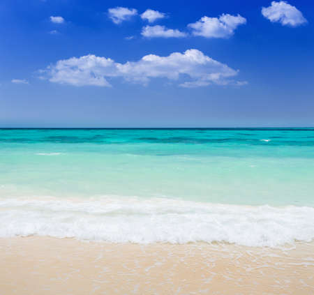 Beach with sea wave and blue skyの写真素材