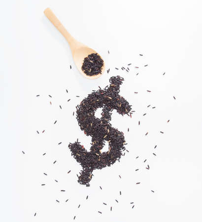 Brown rice with Dollar sign on white backgroundの写真素材