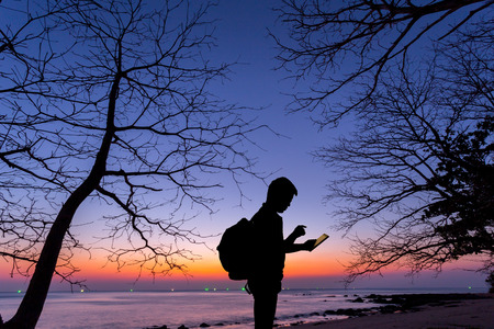 Silhouette man using tablet computer with dead tree and sunset beach backgroundの写真素材