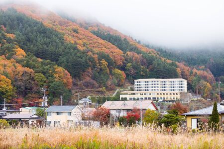 Colorful nature in Japanの写真素材