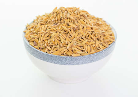 Rice paddy bowlの写真素材