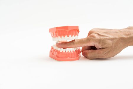 Man hand with dental model