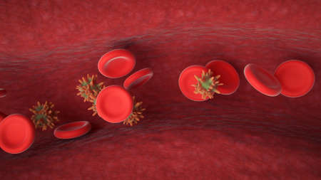 Abstract of Virus infection visualization.