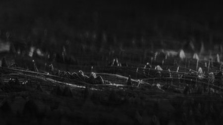 Black wireframe network shape. Computer generated abstract background. 3D renderの写真素材