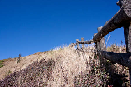 In blue sky day IIの写真素材
