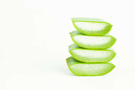 aloe vera isolated on white backgroundの写真素材