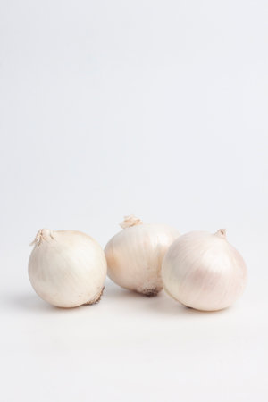 white onions on white backgroundの写真素材