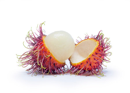 rambutan fruits isolated on white backgroundの写真素材