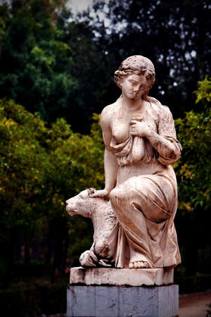 The photo was taken in september 2010  in Palermo  Italy のeditorial素材