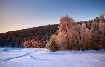 Winter landscape, Russiaの写真素材