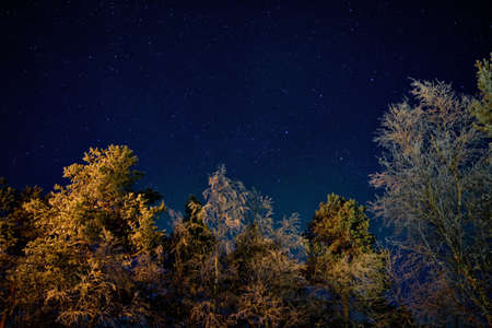 Winter starry nightscape