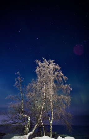 Winter starry nightscapeの写真素材