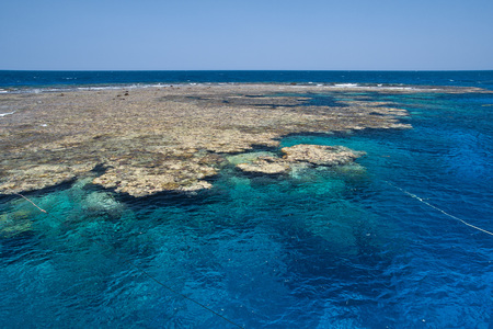 An offshore reef in the Saint John's area, near Sudan's border in the Red Sea, Egypt.の写真素材
