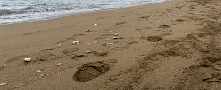empty beach with wet sand on the shore with cloudy spring day