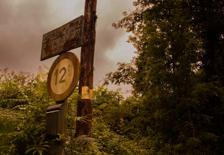 rusty road sign with old electricity pylon surrounded by vegetationの写真素材