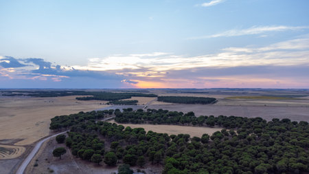 drone view of sunset in the middle of the countryside with dirt roads and treesの写真素材