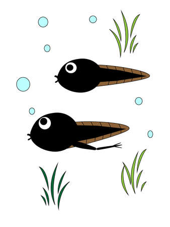 Tadpoleのイラスト素材