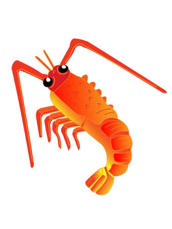 Shrimpのイラスト素材