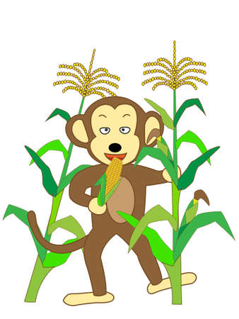 Monkey eating ravaging crops.