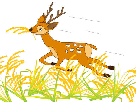 Deer voracious riceのイラスト素材