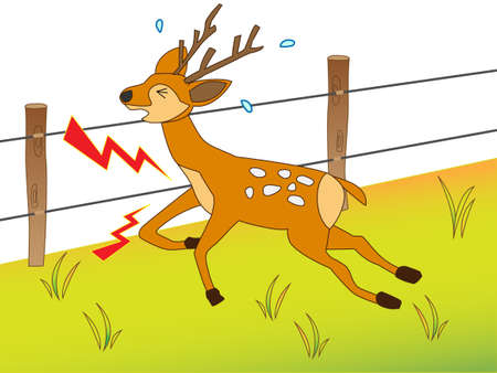 Touching the electrified fence deerのイラスト素材