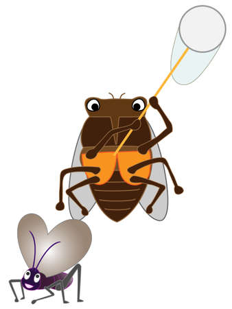 Cicada insectのイラスト素材