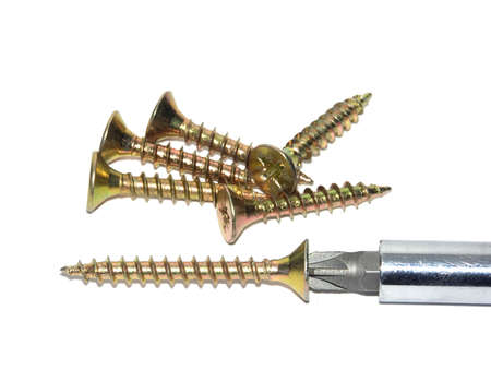 screws and screwdriver on white background macroの写真素材