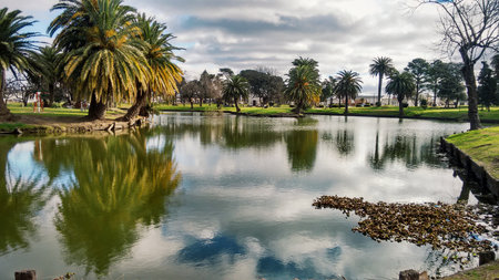 Lagoon in park, palm trees, blue sky