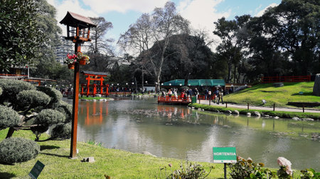 Japanese garden, artificial lake, oriental vegetation blue skyの写真素材
