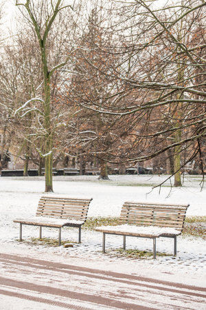 Prague, Czech Republic. 01-08-2021. Tree, bush and bench at Park Letna during snowing day, close to...