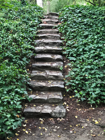 Beautiful stairwayの写真素材