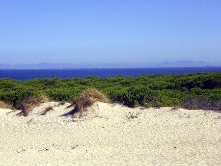 Dune in Bolonia beach, Cadiz, Spainの写真素材