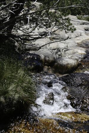 Pinilla brook flowing to the dammingの写真素材