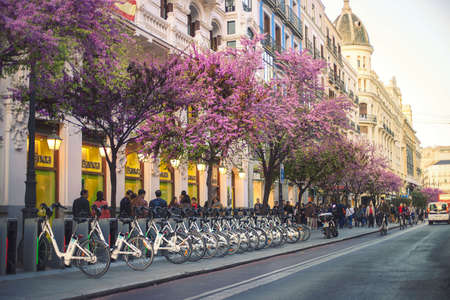 Calle Mayor in Madrid, this leads directly to Plaza del Solの写真素材