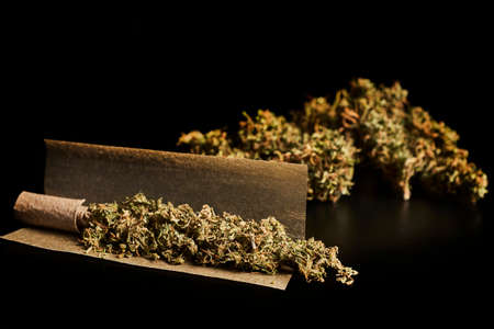 Putting together a Marijuana cigarette.の写真素材