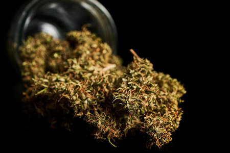 Putting together a Marijuana cigarette.