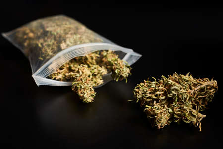 Argentine Dollars and Pesos.の写真素材