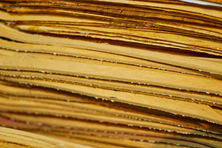 Pile of Guatambu woods that are used for the manufacture of skateboards.の写真素材