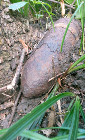 A bomb in the grass a natural photo in the forest, a rusty shell of the war times