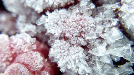Frozen raspberries in snow and ice macro photo blurred background