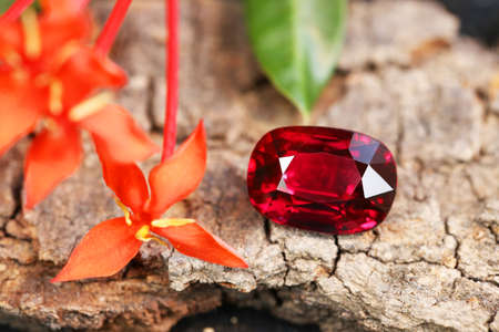 Gemstone Background Textureの写真素材